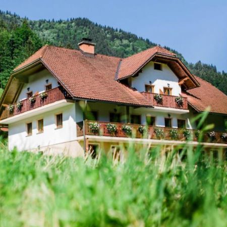 Na Logu - Farm Stay Ambroz Gregorc Solčava Εξωτερικό φωτογραφία