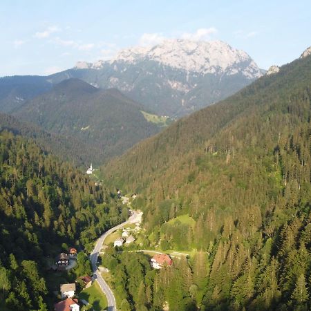 Na Logu - Farm Stay Ambroz Gregorc Solčava Εξωτερικό φωτογραφία