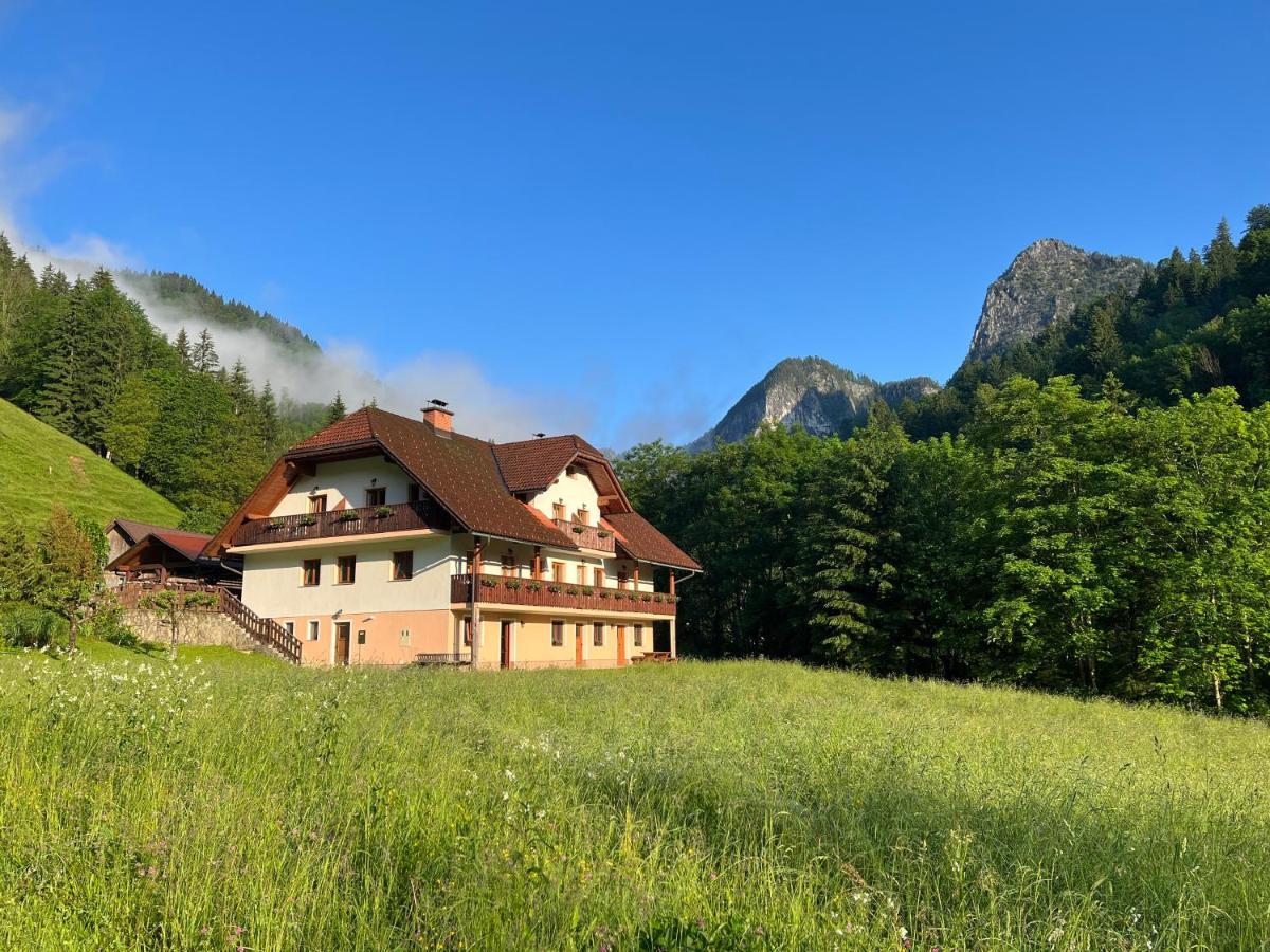 Na Logu - Farm Stay Ambroz Gregorc Solčava Εξωτερικό φωτογραφία