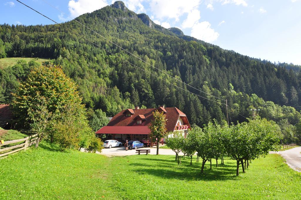 Na Logu - Farm Stay Ambroz Gregorc Solčava Εξωτερικό φωτογραφία