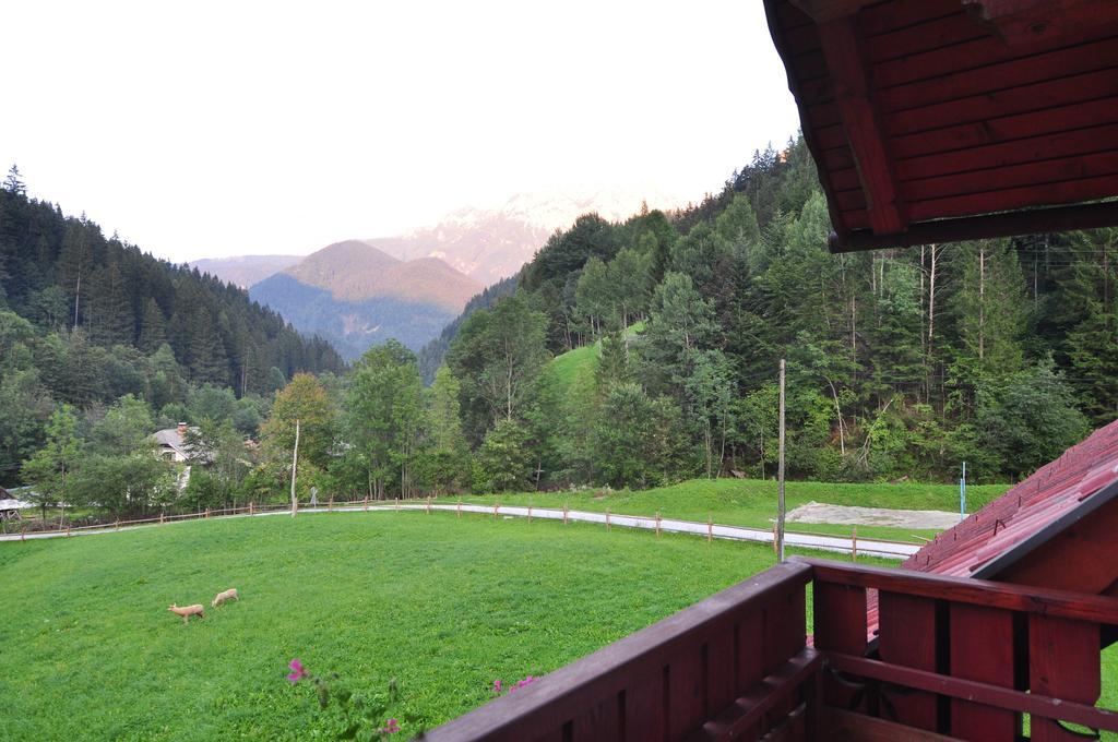 Na Logu - Farm Stay Ambroz Gregorc Solčava Δωμάτιο φωτογραφία