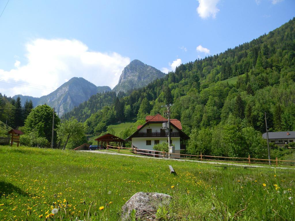 Na Logu - Farm Stay Ambroz Gregorc Solčava Εξωτερικό φωτογραφία