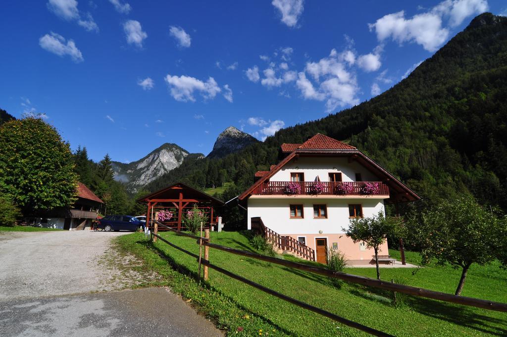 Na Logu - Farm Stay Ambroz Gregorc Solčava Εξωτερικό φωτογραφία